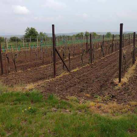 Appartamento Sklípek v Agátí Drnholec Esterno foto